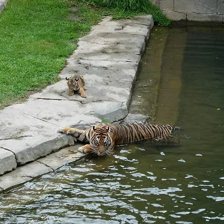 Pensión Los Faroles *
